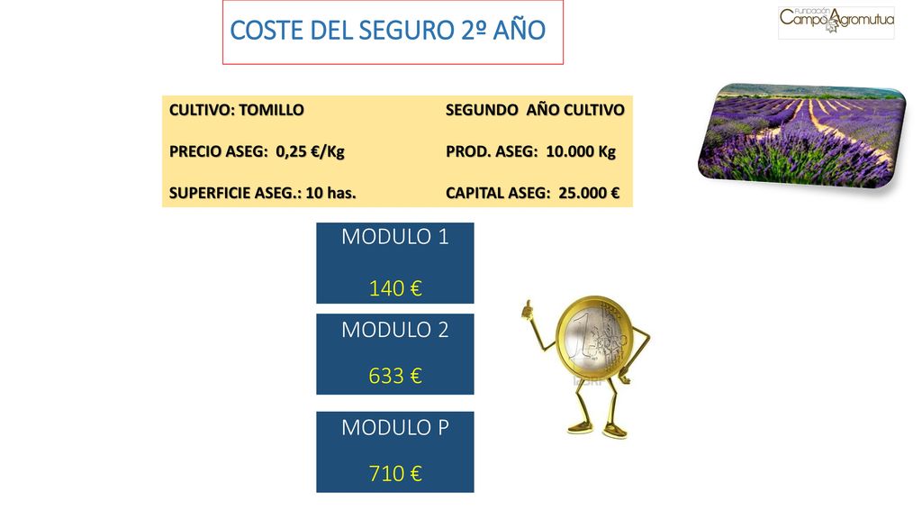 COSTE DEL SEGURO 2º AÑO MODULO € MODULO € MODULO P 710 €