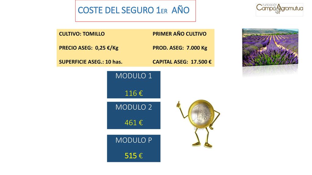 COSTE DEL SEGURO 1ER AÑO MODULO € MODULO € MODULO P 515 €