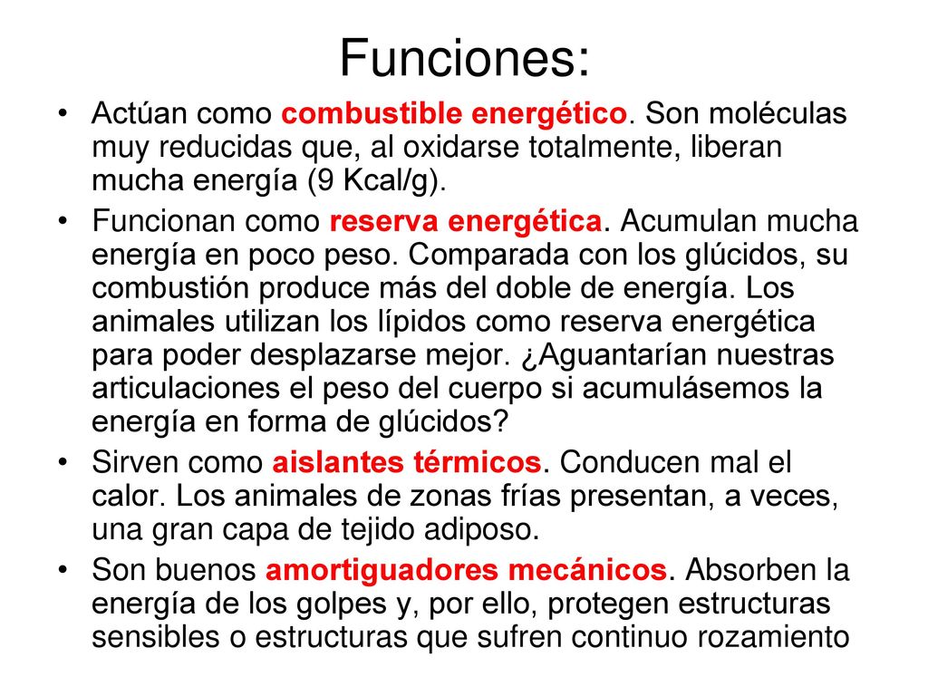Funciones: Actúan como combustible energético. Son moléculas muy reducidas que, al oxidarse totalmente, liberan mucha energía (9 Kcal/g).