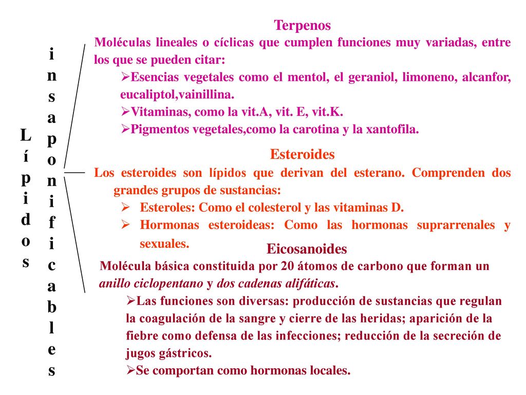 i n s a p o L f í p c i d b o l s e Terpenos Esteroides Eicosanoides