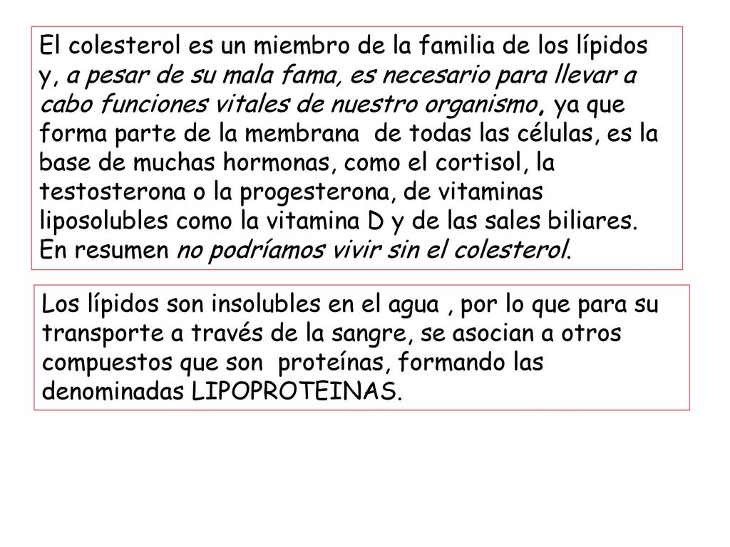El colesterol es un miembro de la familia de los lípidos y, a pesar de su mala fama, es necesario para llevar a cabo funciones vitales de nuestro organismo, ya que forma parte de la membrana de todas las células, es la base de muchas hormonas, como el cortisol, la testosterona o la progesterona, de vitaminas liposolubles como la vitamina D y de las sales biliares. En resumen no podríamos vivir sin el colesterol.