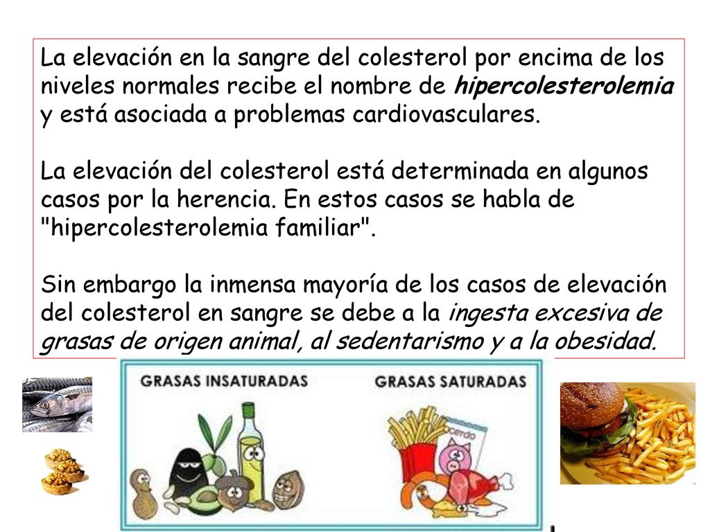 La elevación en la sangre del colesterol por encima de los niveles normales recibe el nombre de hipercolesterolemia y está asociada a problemas cardiovasculares.