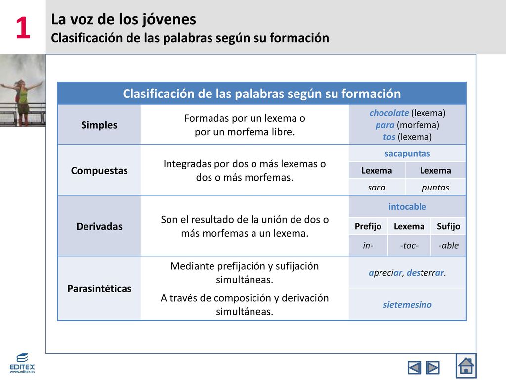 La voz de los jóvenes Clasificación de las palabras según su formación