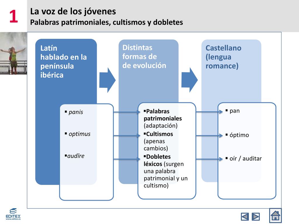 La voz de los jóvenes Palabras patrimoniales, cultismos y dobletes