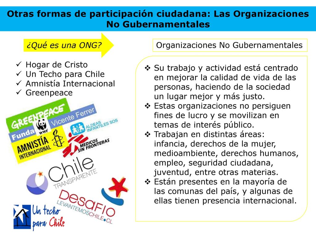 Otras formas de participación ciudadana: Las Organizaciones No Gubernamentales