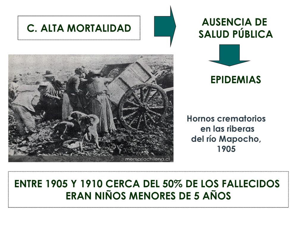 ENTRE 1905 Y 1910 CERCA DEL 50% DE LOS FALLECIDOS