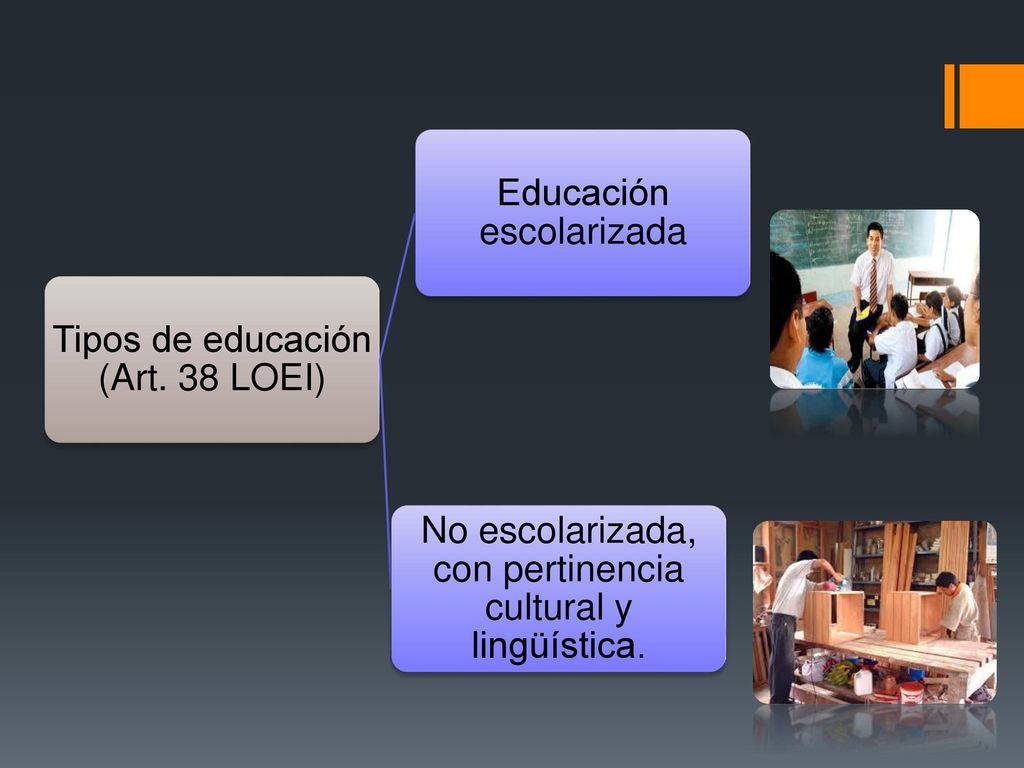 Tipos de educación (Art. 38 LOEI) Educación escolarizada