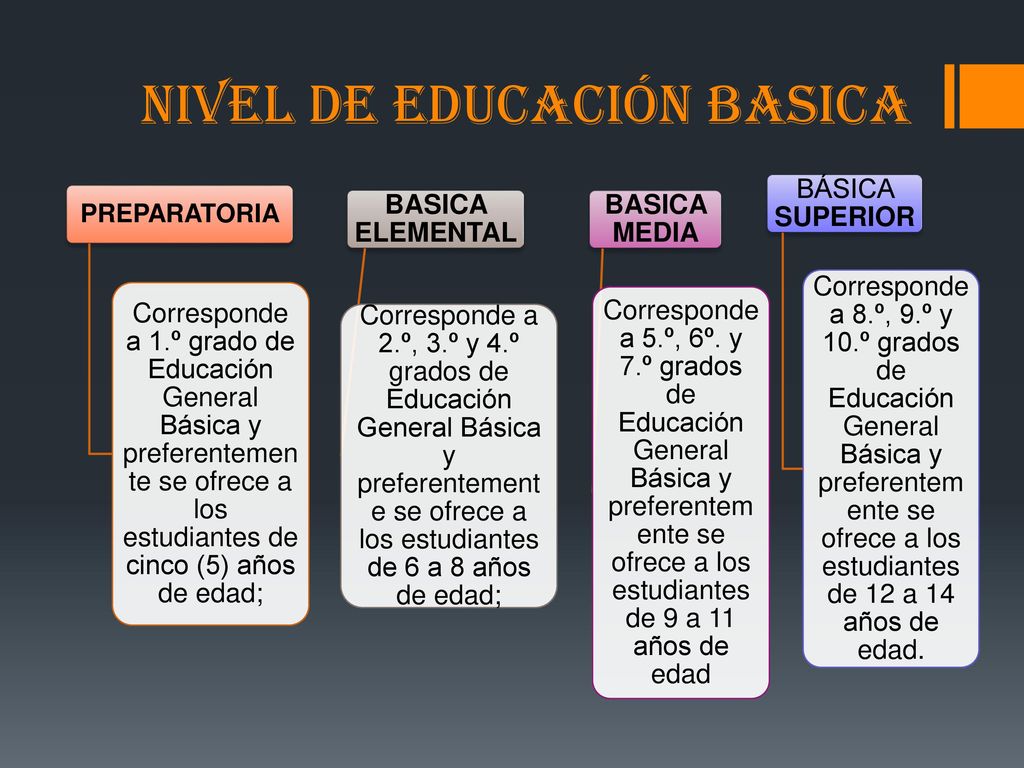 NIVEL DE EDUCACIÓN BASICA