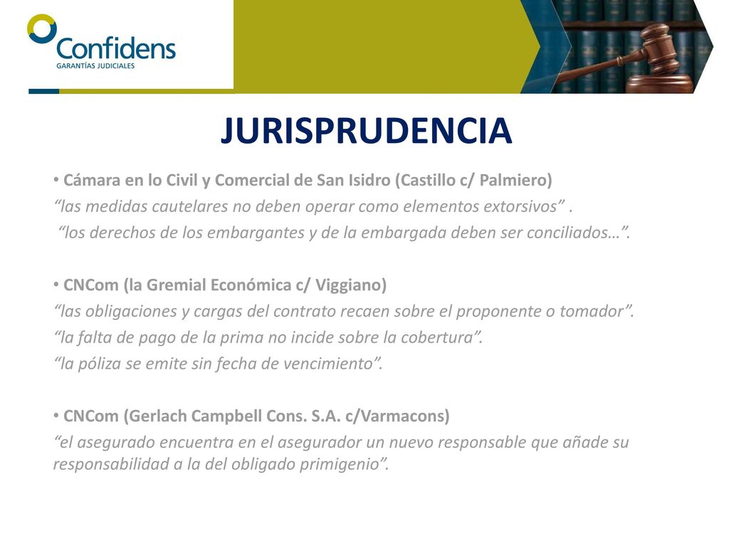 JURISPRUDENCIA Cámara en lo Civil y Comercial de San Isidro (Castillo c/ Palmiero)