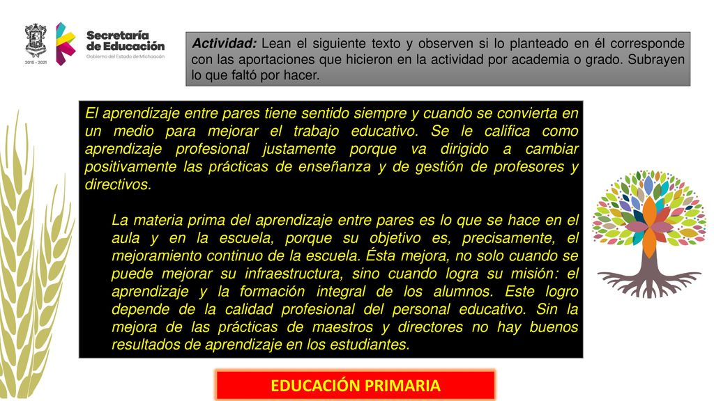 Actividad: Lean el siguiente texto y observen si lo planteado en él corresponde con las aportaciones que hicieron en la actividad por academia o grado. Subrayen lo que faltó por hacer.