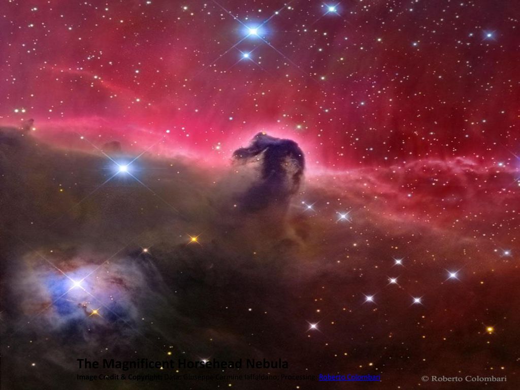 The Magnificent Horsehead Nebula Image Credit & Copyright: Data: Giuseppe Carmine Iaffaldano; Processing: Roberto Colombari