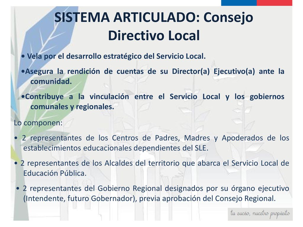 SISTEMA ARTICULADO: Consejo Directivo Local