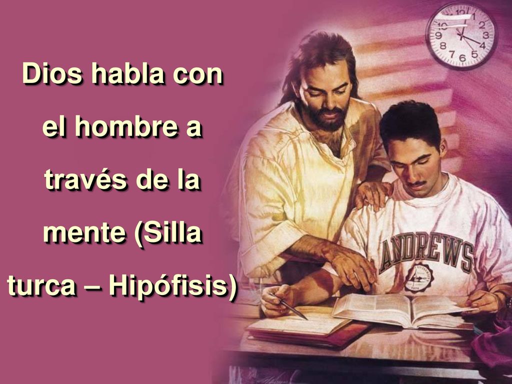 Dios habla con el hombre a través de la mente (Silla turca – Hipófisis)
