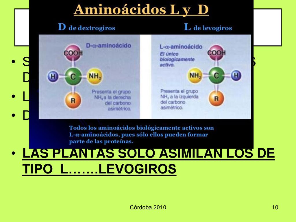 AMINOACIDOS SEGÚN SU NATURALEZA, PODEMOS DISTINGUIR DOS TIPOS: