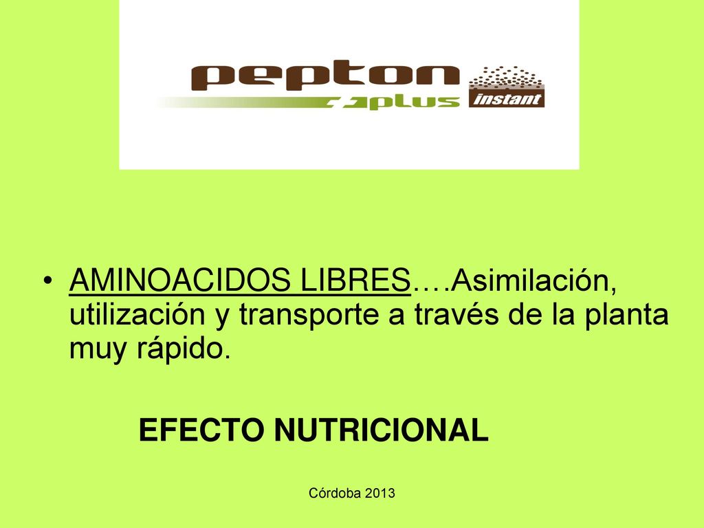 AMINOACIDOS LIBRES….Asimilación, utilización y transporte a través de la planta muy rápido.