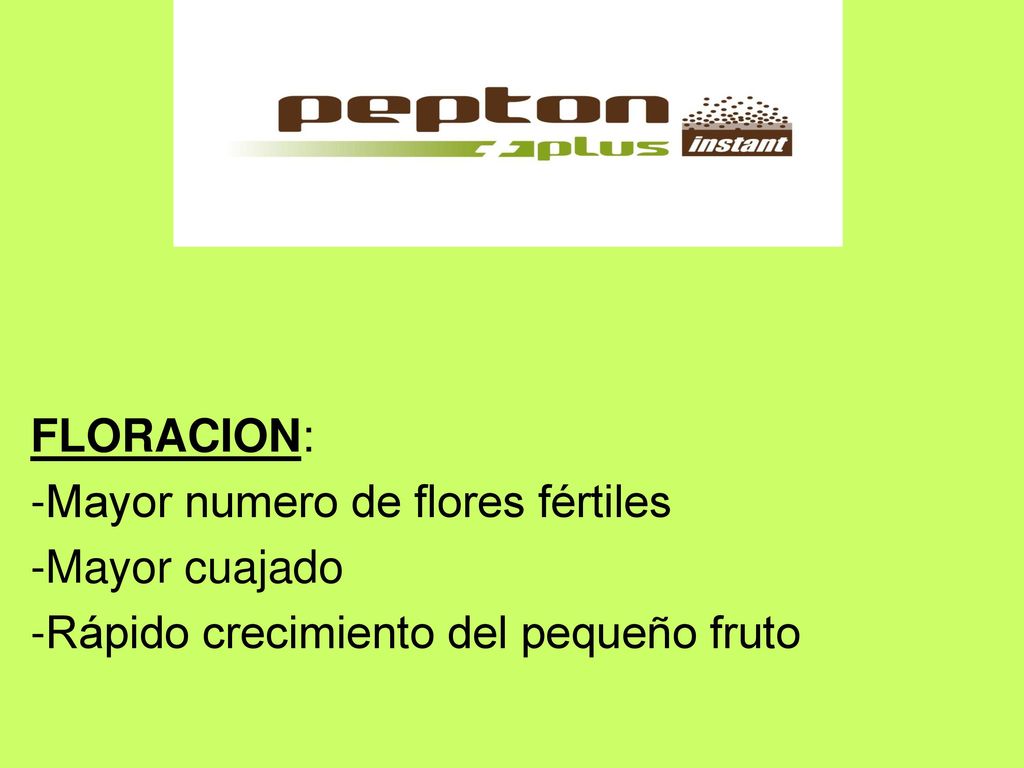 FLORACION: -Mayor numero de flores fértiles -Mayor cuajado -Rápido crecimiento del pequeño fruto
