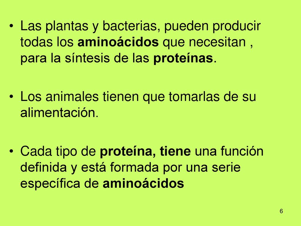 Las plantas y bacterias, pueden producir todas los aminoácidos que necesitan , para la síntesis de las proteínas.