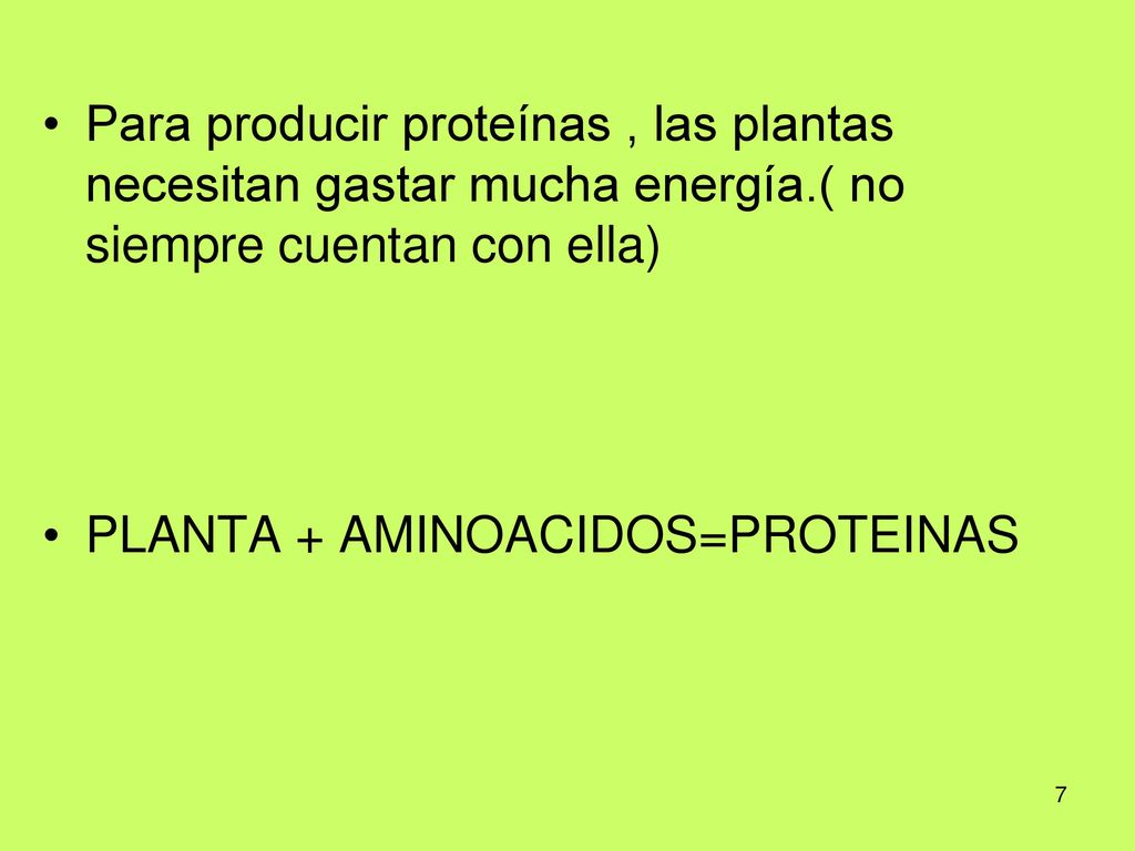 Para producir proteínas , las plantas necesitan gastar mucha energía