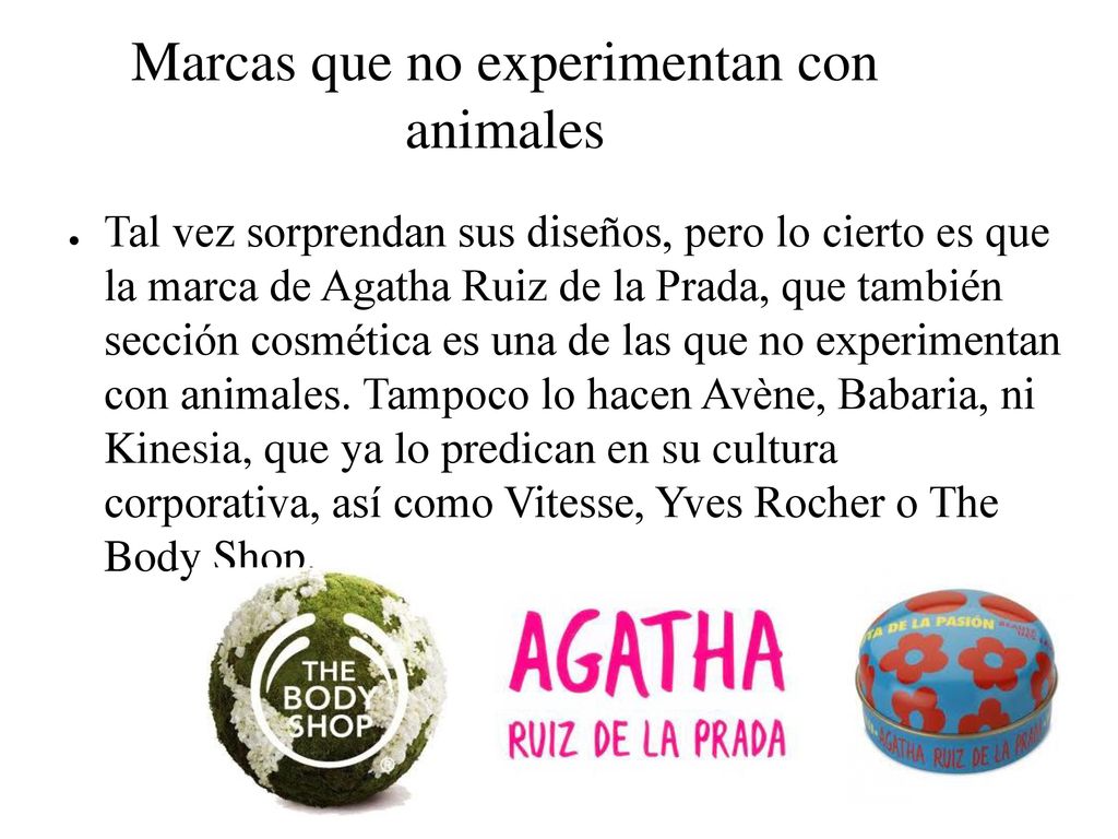 Marcas que no experimentan con animales