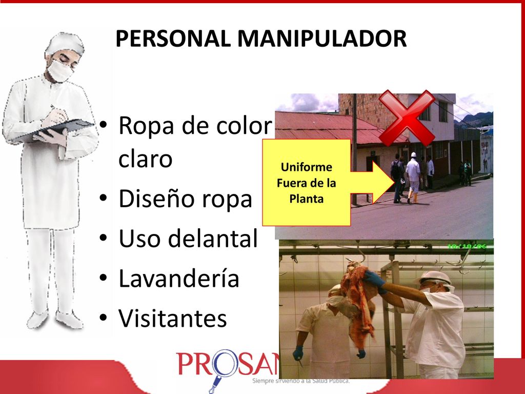 Ropa de color claro Diseño ropa Uso delantal Lavandería Visitantes