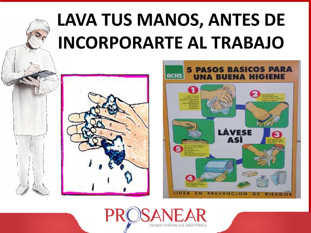 LAVA TUS MANOS, ANTES DE INCORPORARTE AL TRABAJO