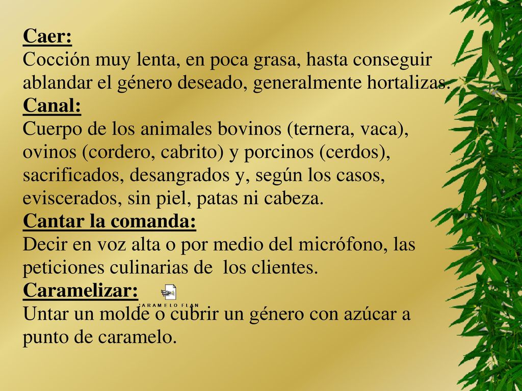 Caer: Cocción muy lenta, en poca grasa, hasta conseguir. ablandar el género deseado, generalmente hortalizas.