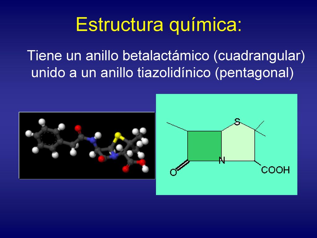 Estructura química: Tiene un anillo betalactámico (cuadrangular) unido a un anillo tiazolidínico (pentagonal)