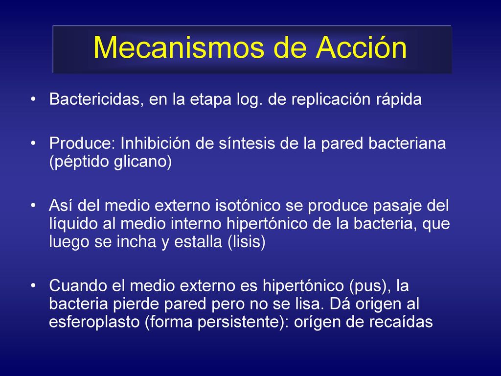 Mecanismos de Acción Bactericidas, en la etapa log. de replicación rápida. Produce: Inhibición de síntesis de la pared bacteriana (péptido glicano)