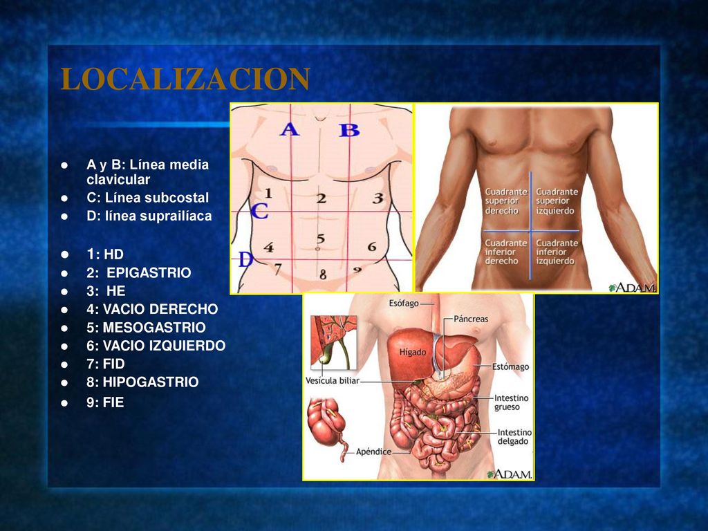 LOCALIZACION 1: HD A y B: Línea media clavicular C: Línea subcostal