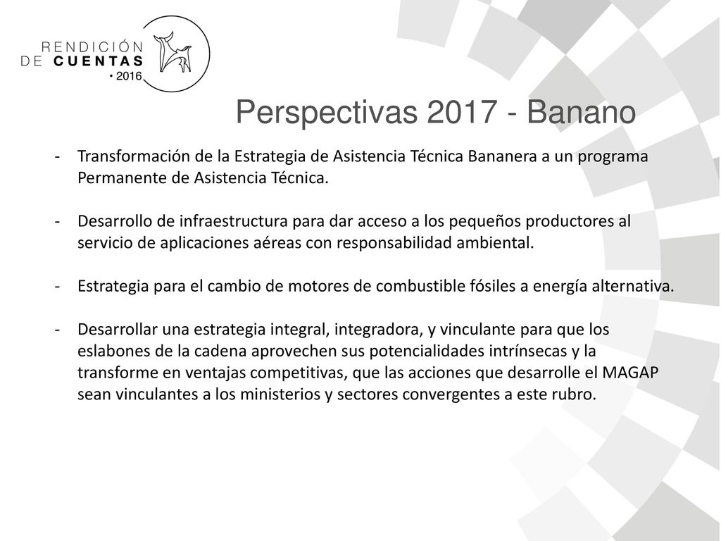 Perspectivas Banano Transformación de la Estrategia de Asistencia Técnica Bananera a un programa Permanente de Asistencia Técnica.