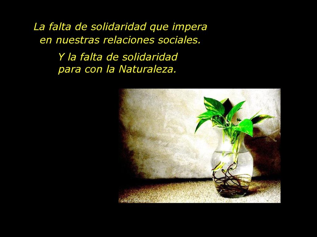 La falta de solidaridad que impera en nuestras relaciones sociales.