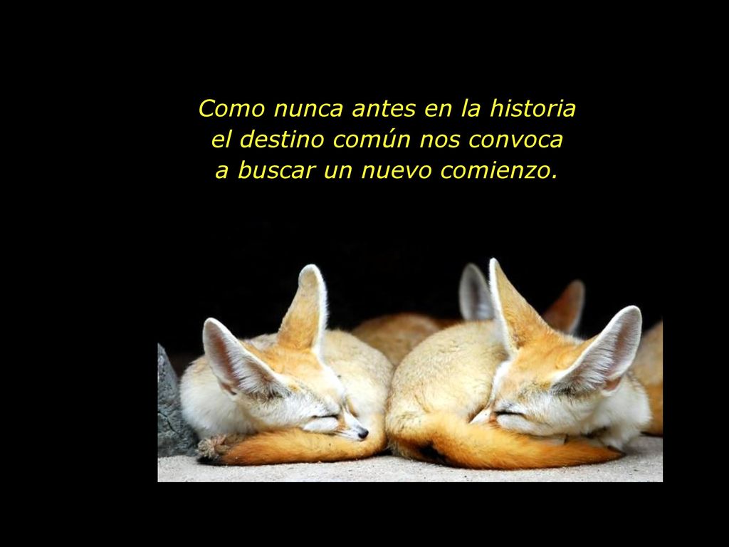 Como nunca antes en la historia el destino común nos convoca