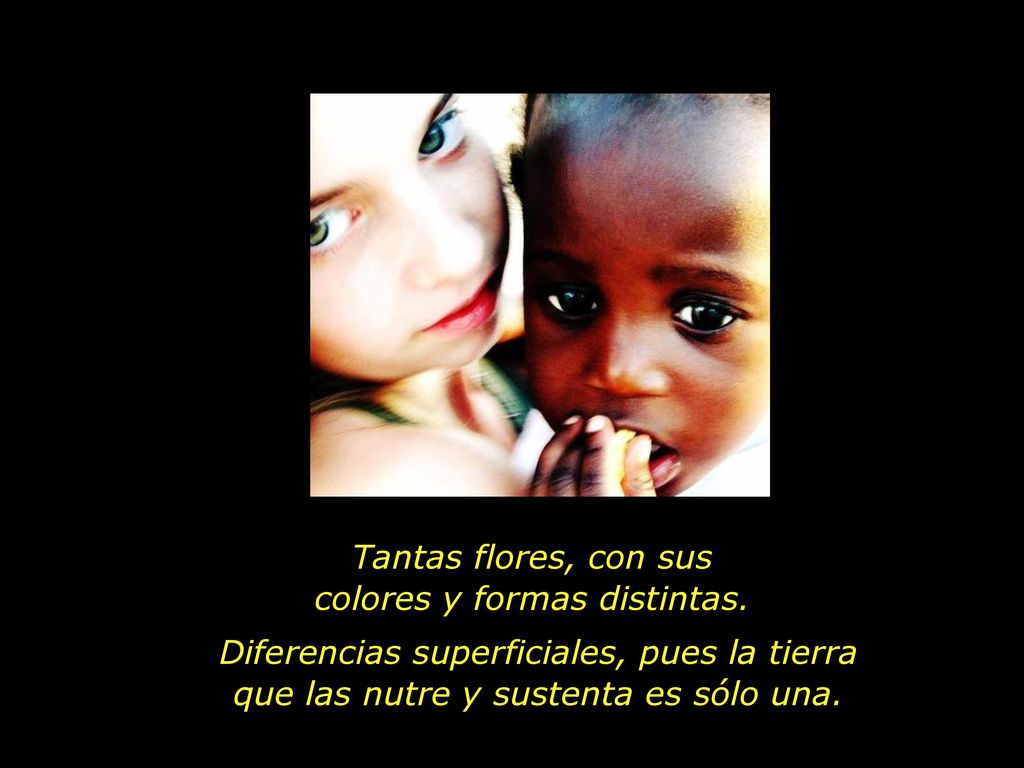 Tantas flores, con sus colores y formas distintas.