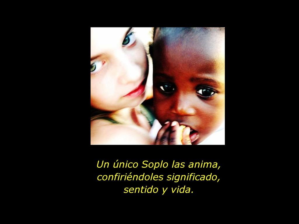 Un único Soplo las anima, confiriéndoles significado, sentido y vida.