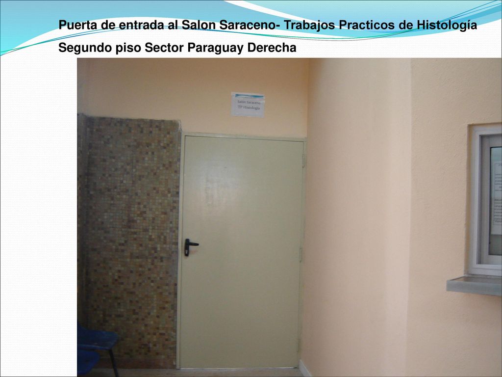 Puerta de entrada al Salon Saraceno- Trabajos Practicos de Histología