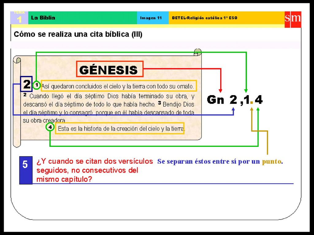 Introducción a la Biblia - Parroquia de San Eduardo 2005