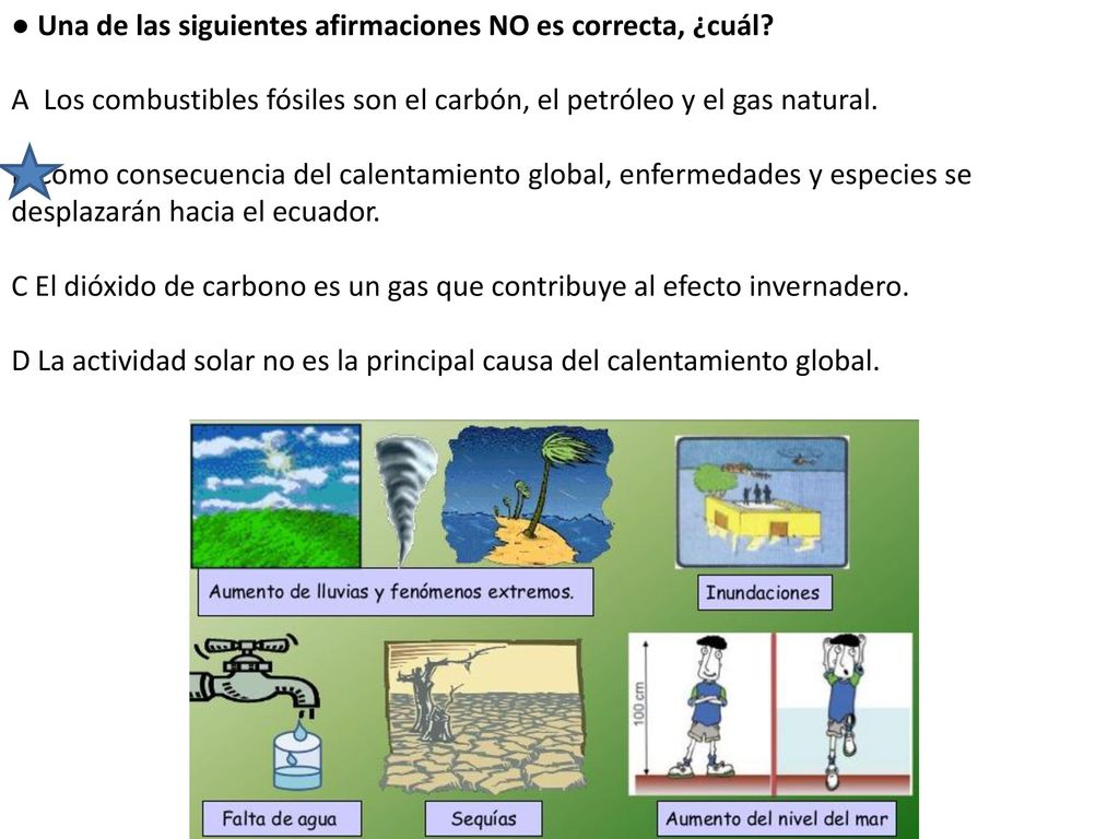● Una de las siguientes afirmaciones NO es correcta, ¿cuál