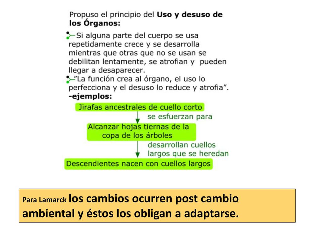 Para Lamarck los cambios ocurren post cambio ambiental y éstos los obligan a adaptarse.