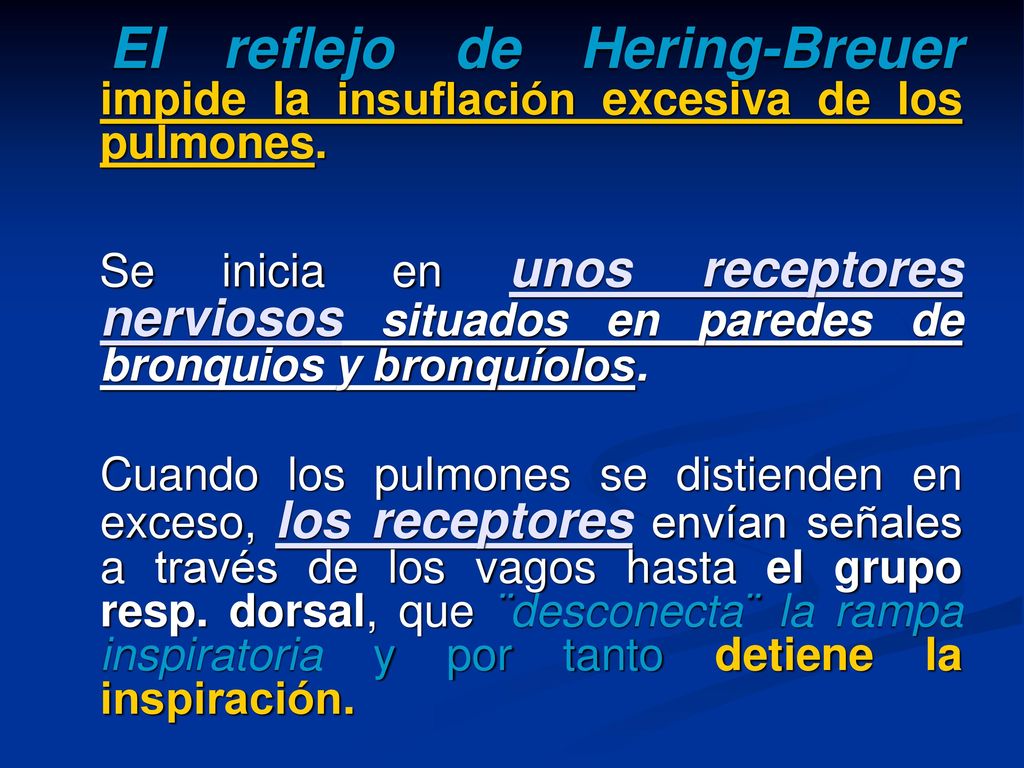 El reflejo de Hering-Breuer impide la insuflación excesiva de los pulmones.