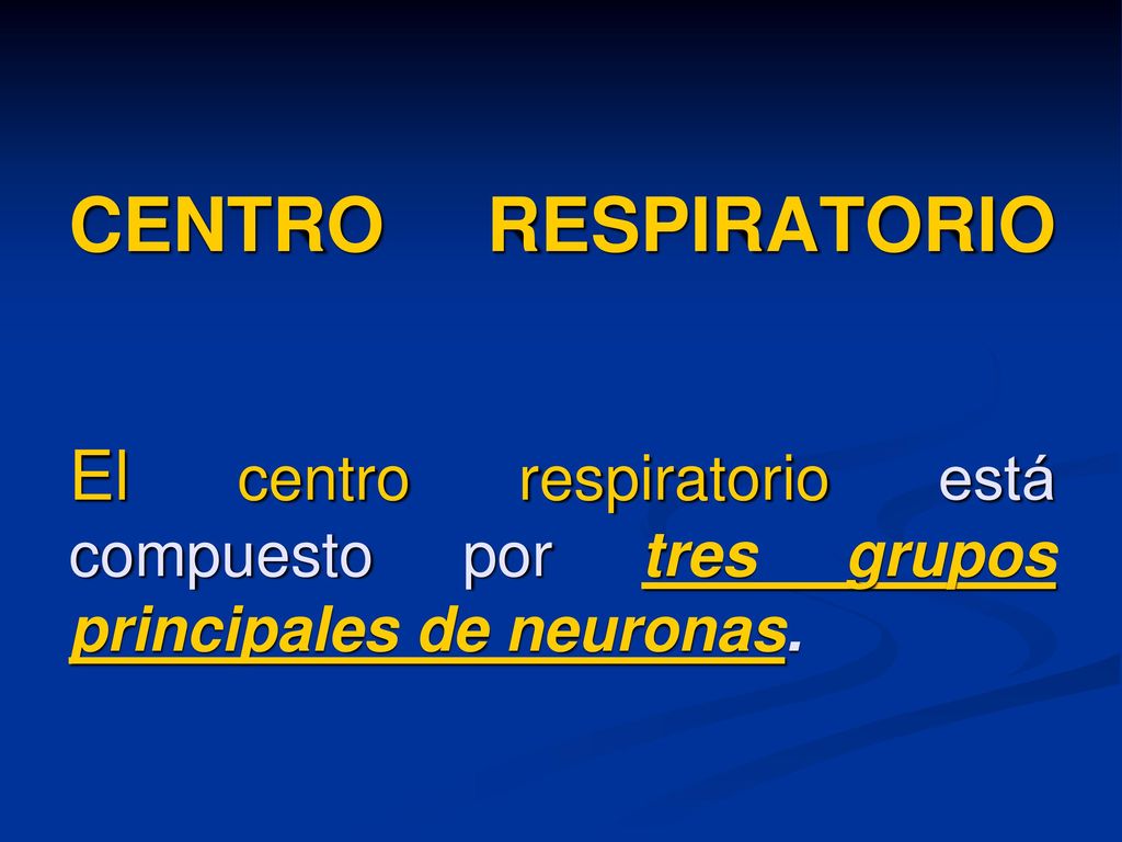 CENTRO RESPIRATORIO El centro respiratorio está compuesto por tres grupos principales de neuronas.