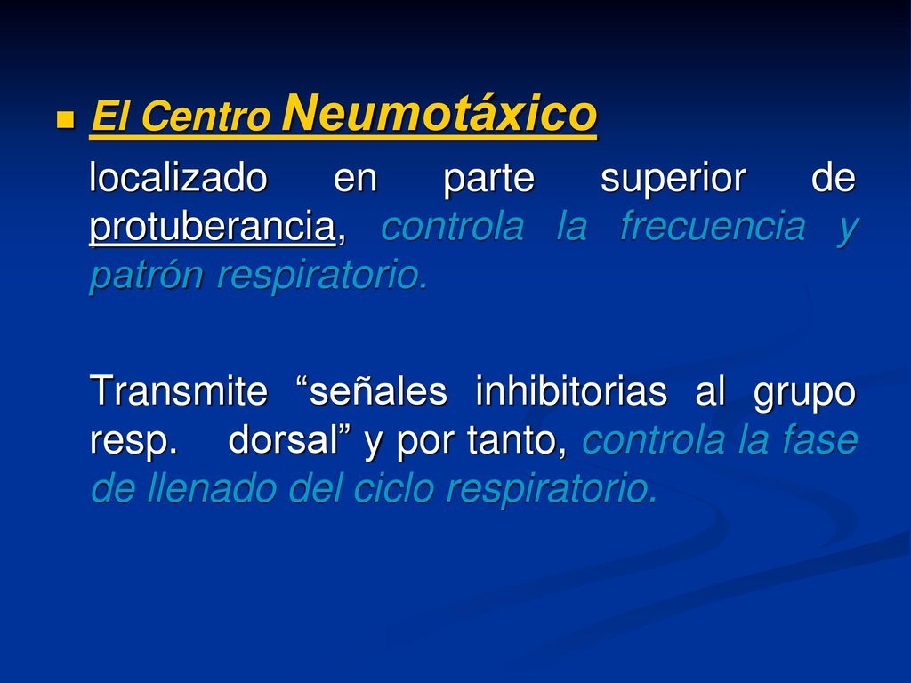 El Centro Neumotáxico localizado en parte superior de protuberancia, controla la frecuencia y patrón respiratorio.