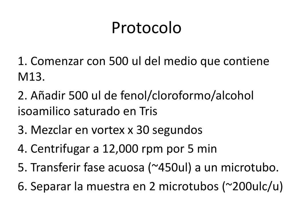 Protocolo 1. Comenzar con 500 ul del medio que contiene M13.