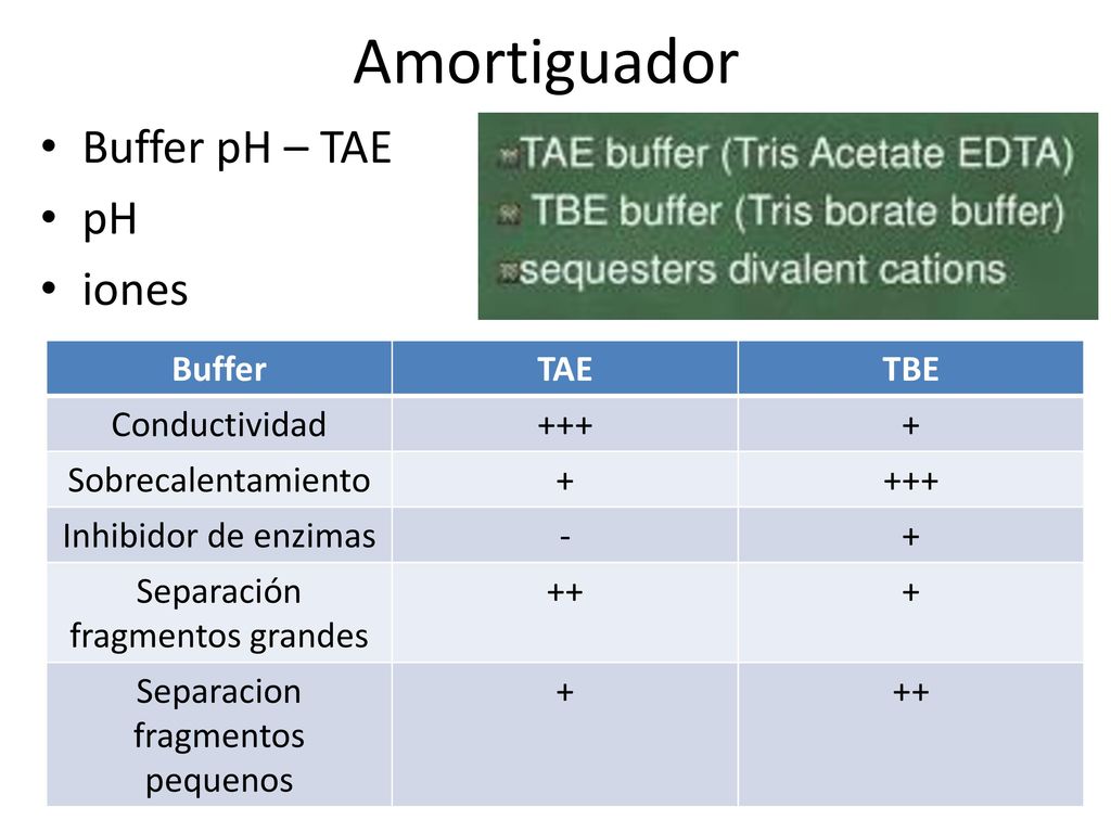 Amortiguador Buffer pH – TAE pH iones Buffer TAE TBE Conductividad +++