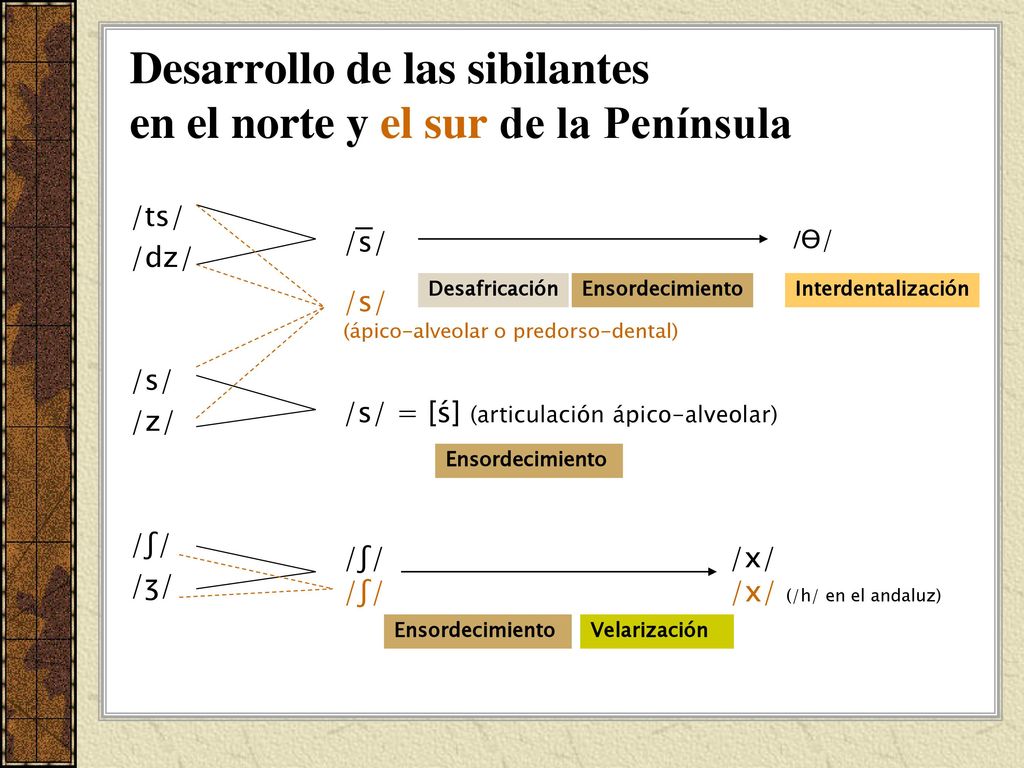 Desarrollo de las sibilantes en el norte y el sur de la Península