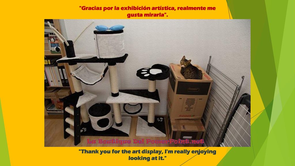 Gracias por la exhibición artística, realmente me gusta mirarla .