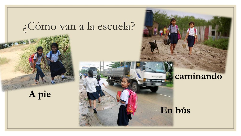 ¿Cómo van a la escuela caminando A pie En bús
