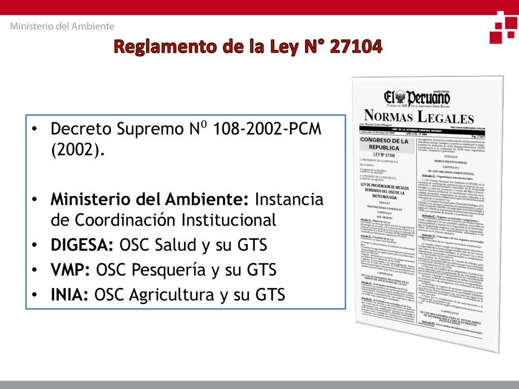 Reglamento de la Ley N° Decreto Supremo N⁰ PCM (2002).