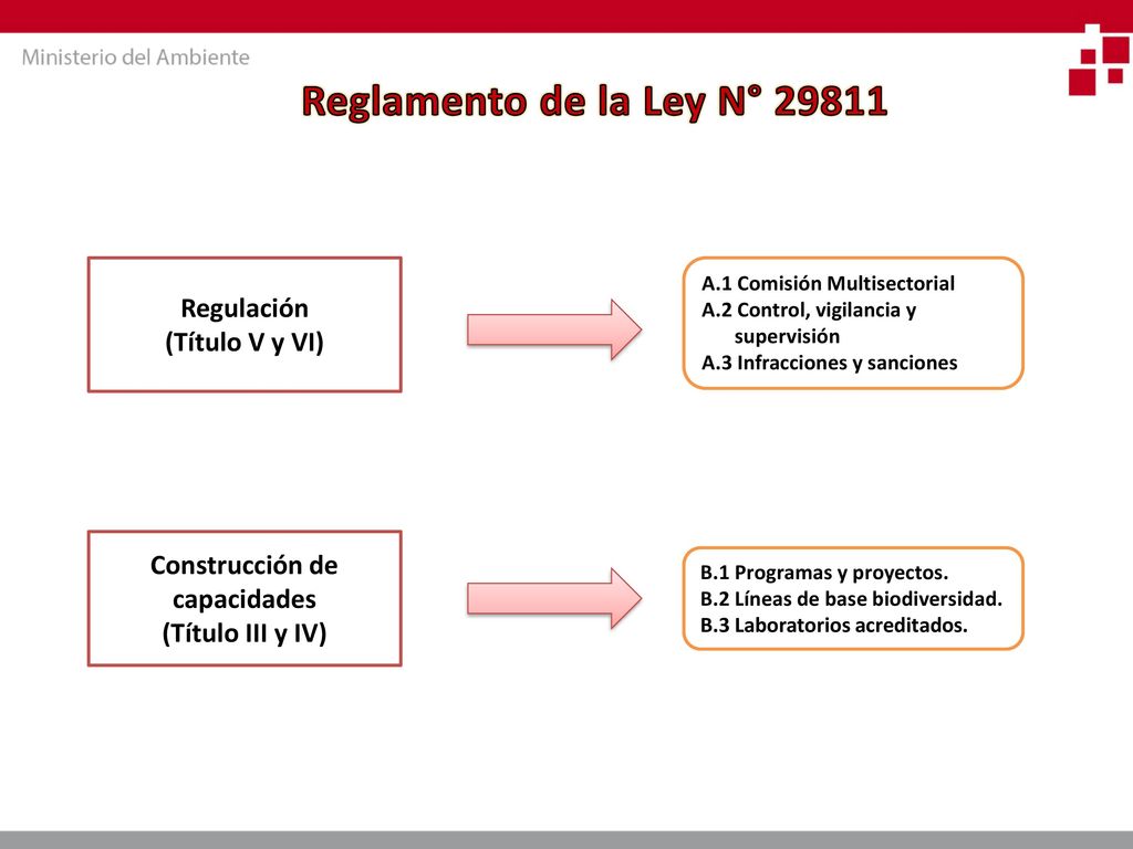 Reglamento de la Ley N° Regulación (Título V y VI)