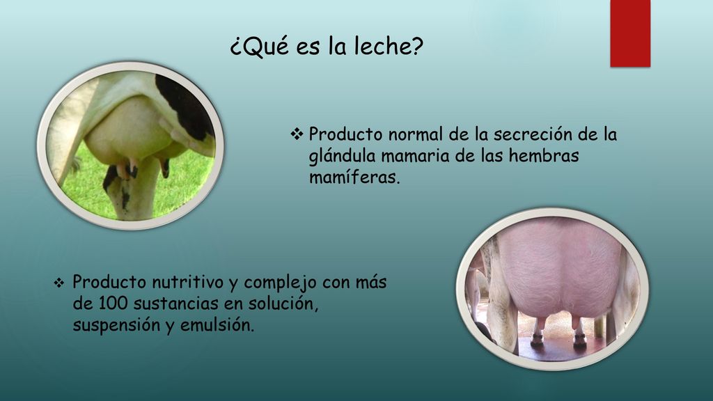 ¿Qué es la leche Producto normal de la secreción de la glándula mamaria de las hembras mamíferas.