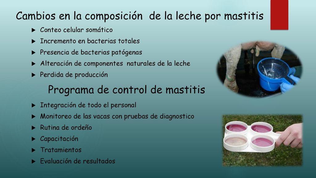 Cambios en la composición de la leche por mastitis
